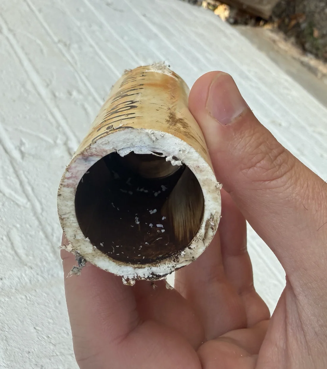 A cut section of supply pipe from the founder's own Covington home, its interior browned and narrowed by mineral buildup